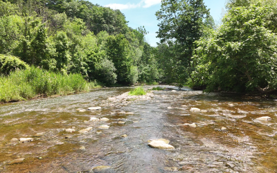 Discover the Magic of Camping at Bronte Creek Provincial Park