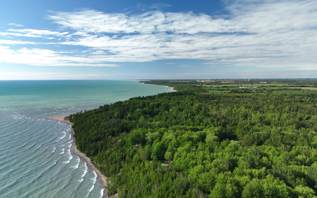 Camping at Point Farms Provincial Park: A Nature Lover’s Dream