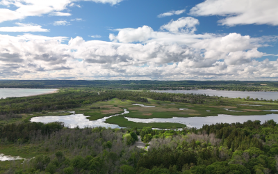 Exploring Presqu’ile Provincial Park: A Camper’s Paradise