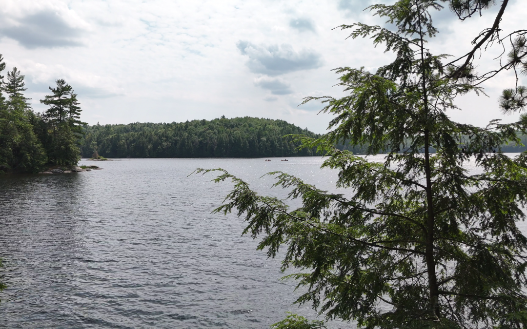 Embracing Tranquility at Silent Lake Provincial Park